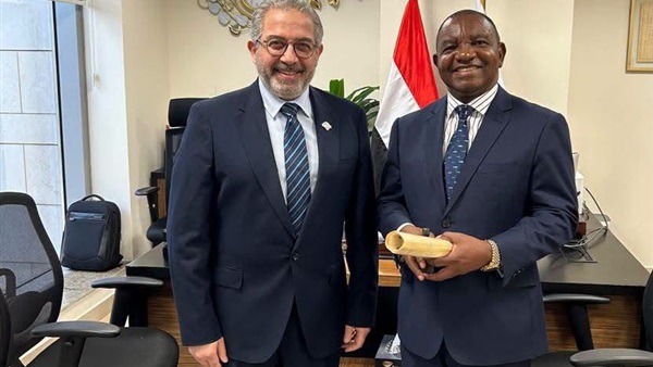 المدير العام للهيئة