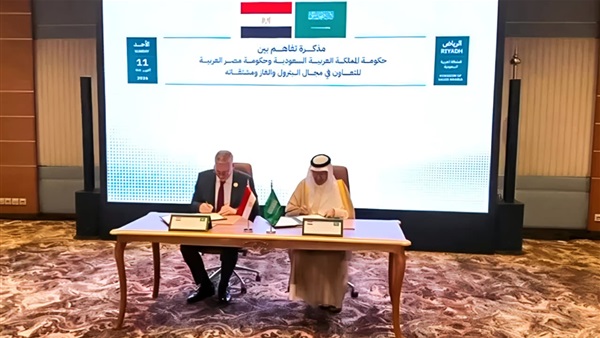 المهندس كريم بدوي