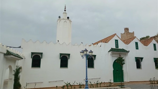 صدى العرب