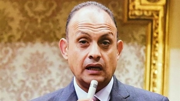 النائب هشام الجاهل