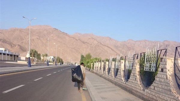 صدى العرب