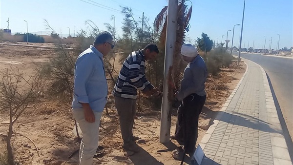 صيانة إنارة الشارع