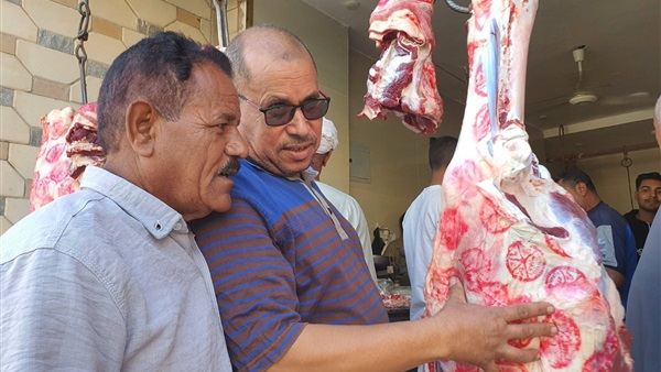 تحرير ١٢ محضر مخالفة