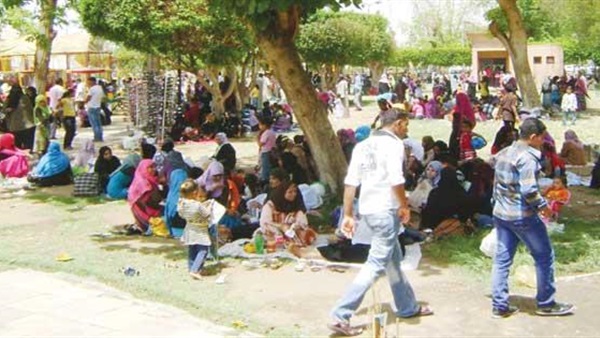 صدى العرب