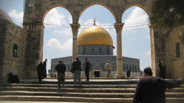 صدى العرب